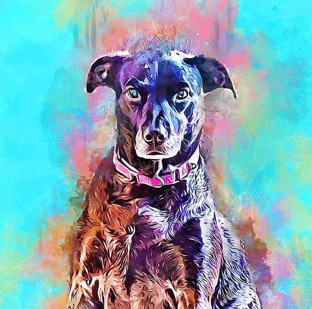 Meet your Posher, Cielle